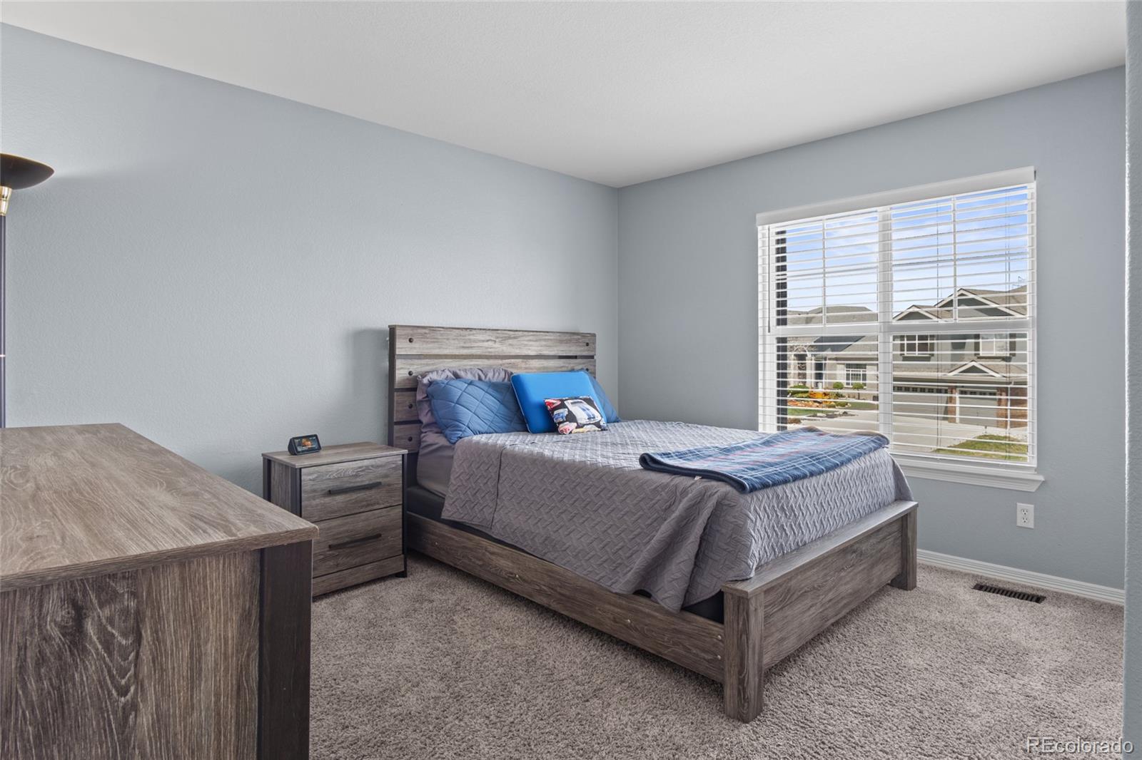 MLS Image #28 for 11446  canterberry lane,parker, Colorado