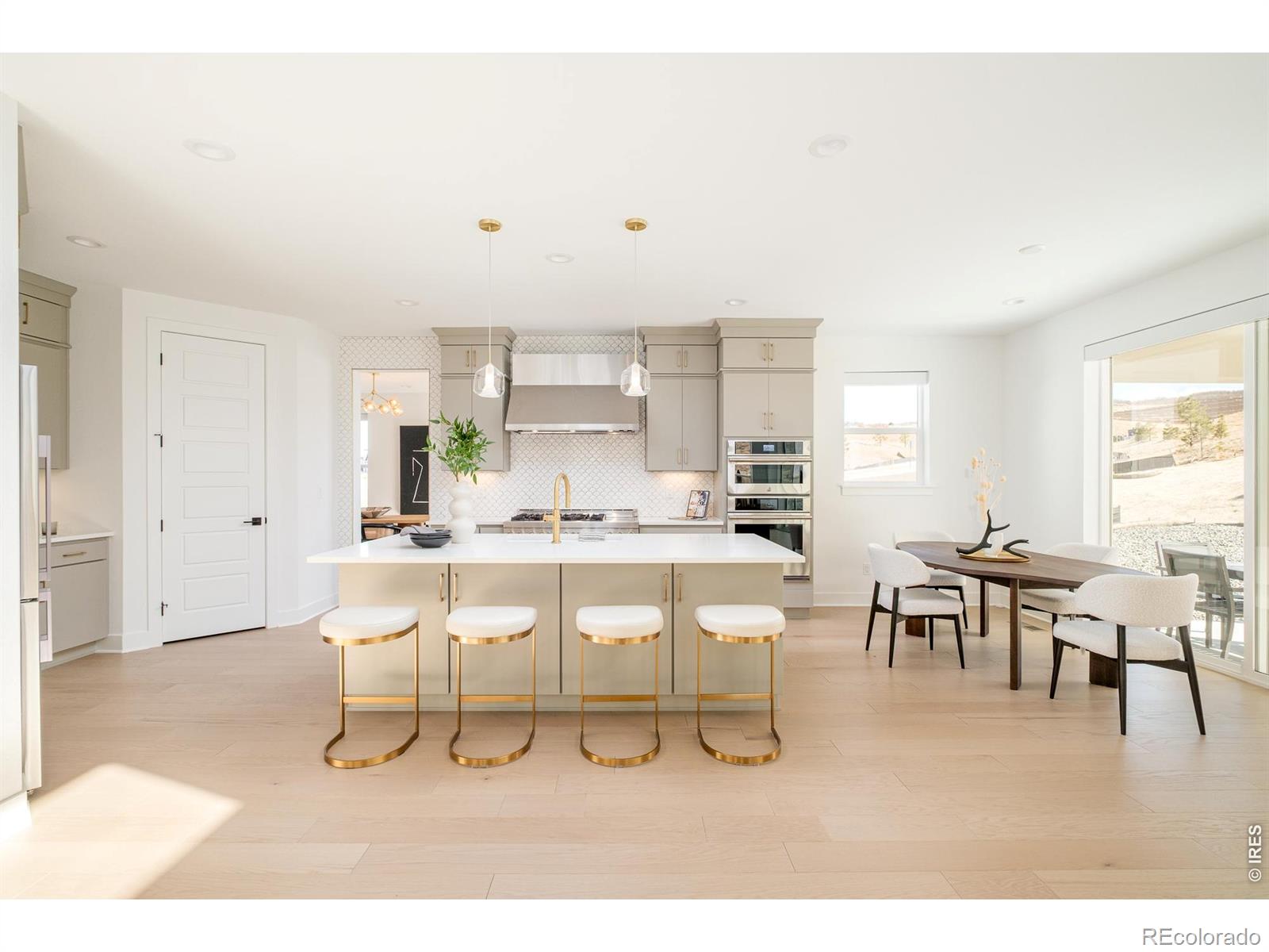MLS Image #1 for 1158  brotherton point,castle rock, Colorado