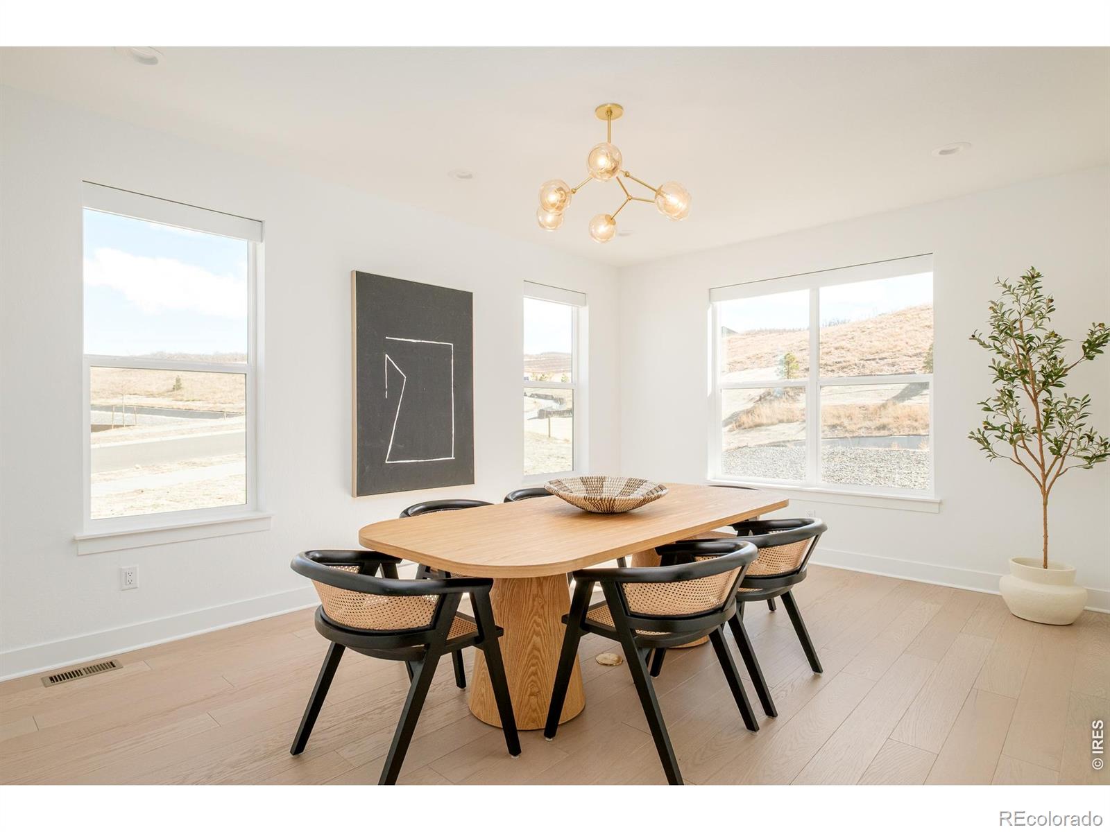 MLS Image #11 for 1158  brotherton point,castle rock, Colorado
