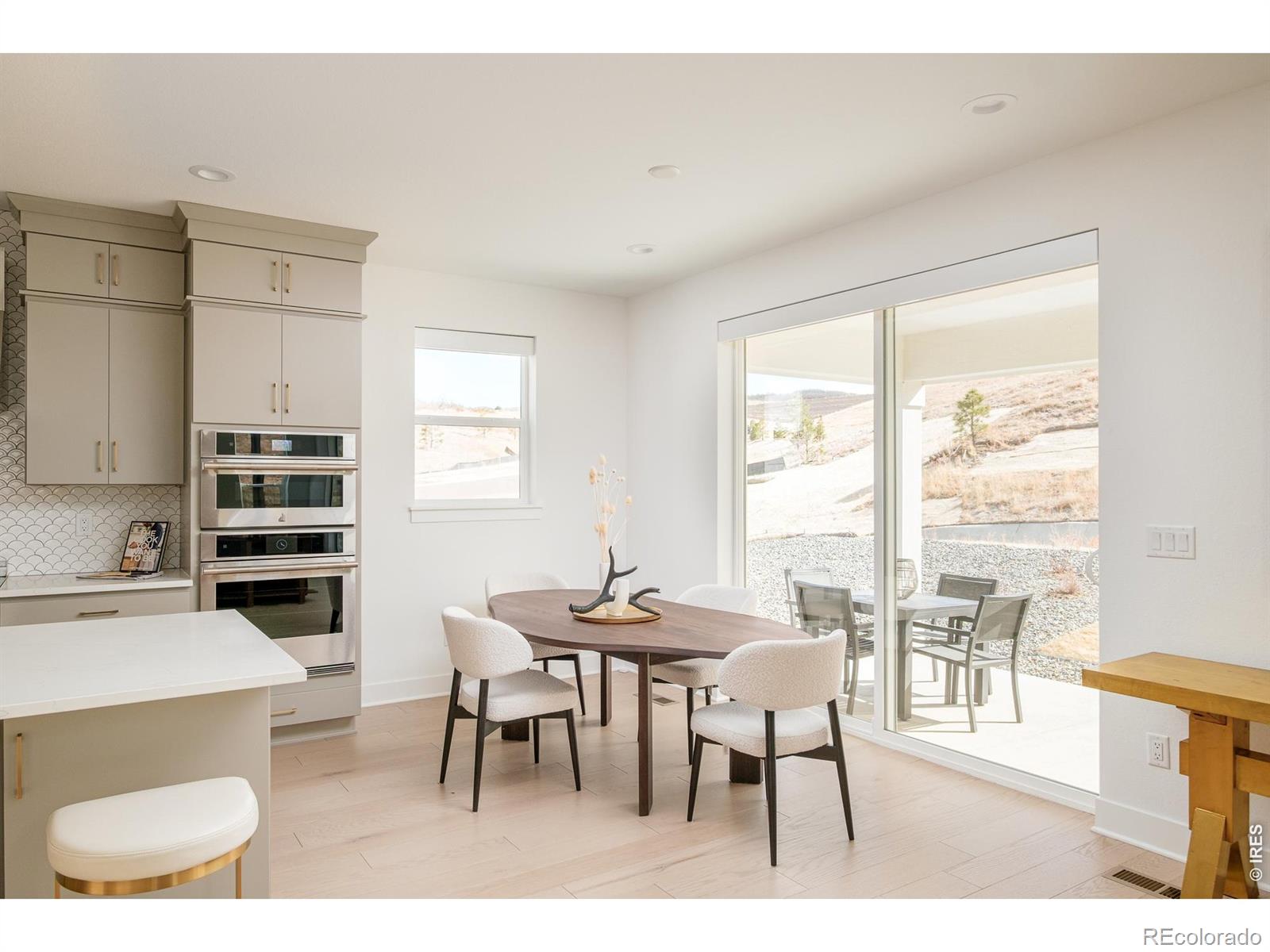 MLS Image #4 for 1158  brotherton point,castle rock, Colorado
