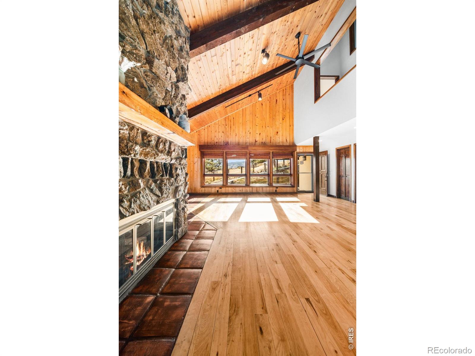 MLS Image #8 for 3514  horsetooth cliffs way,fort collins, Colorado