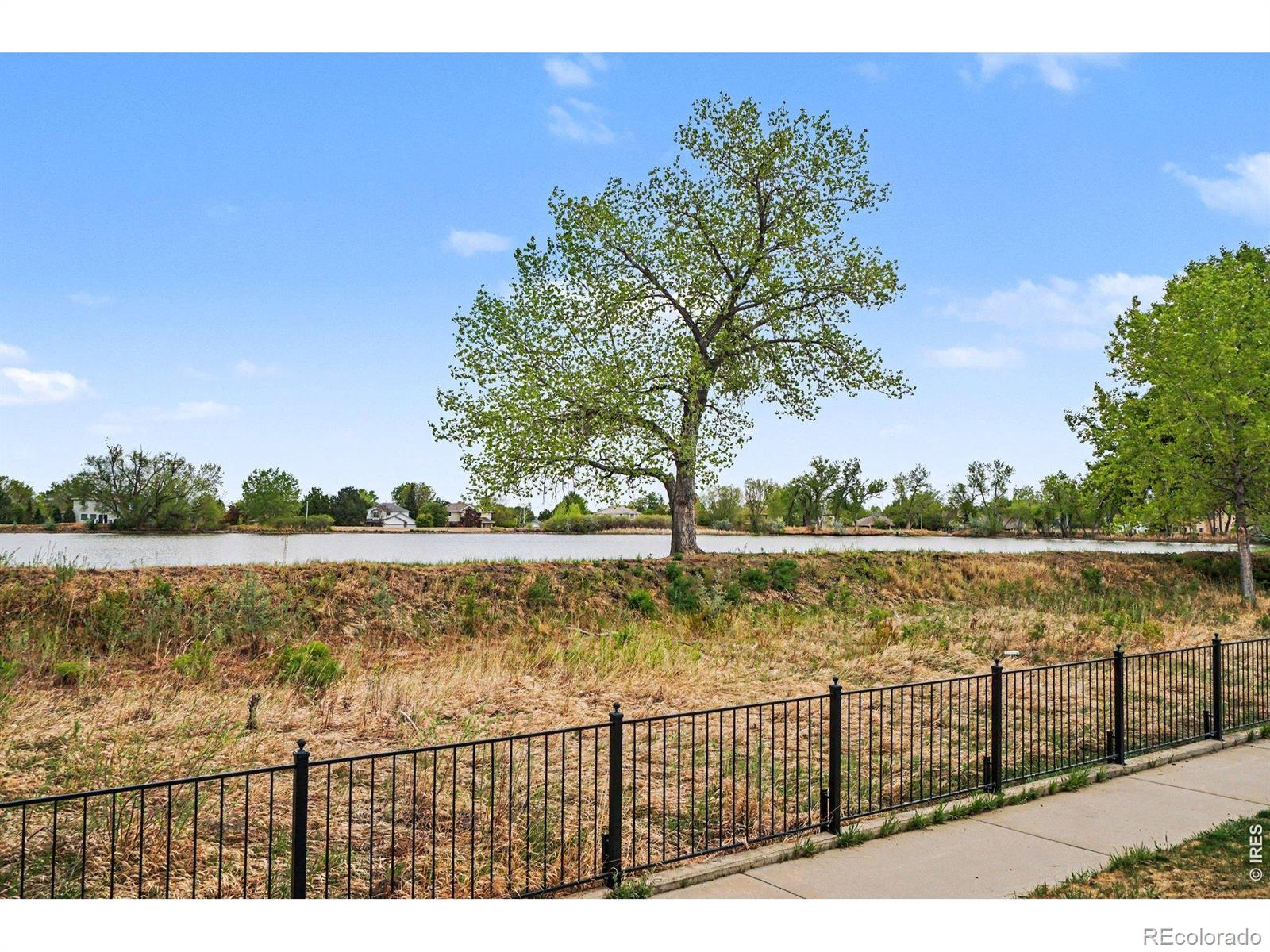 MLS Image #31 for 2952  sonata bay court,longmont, Colorado