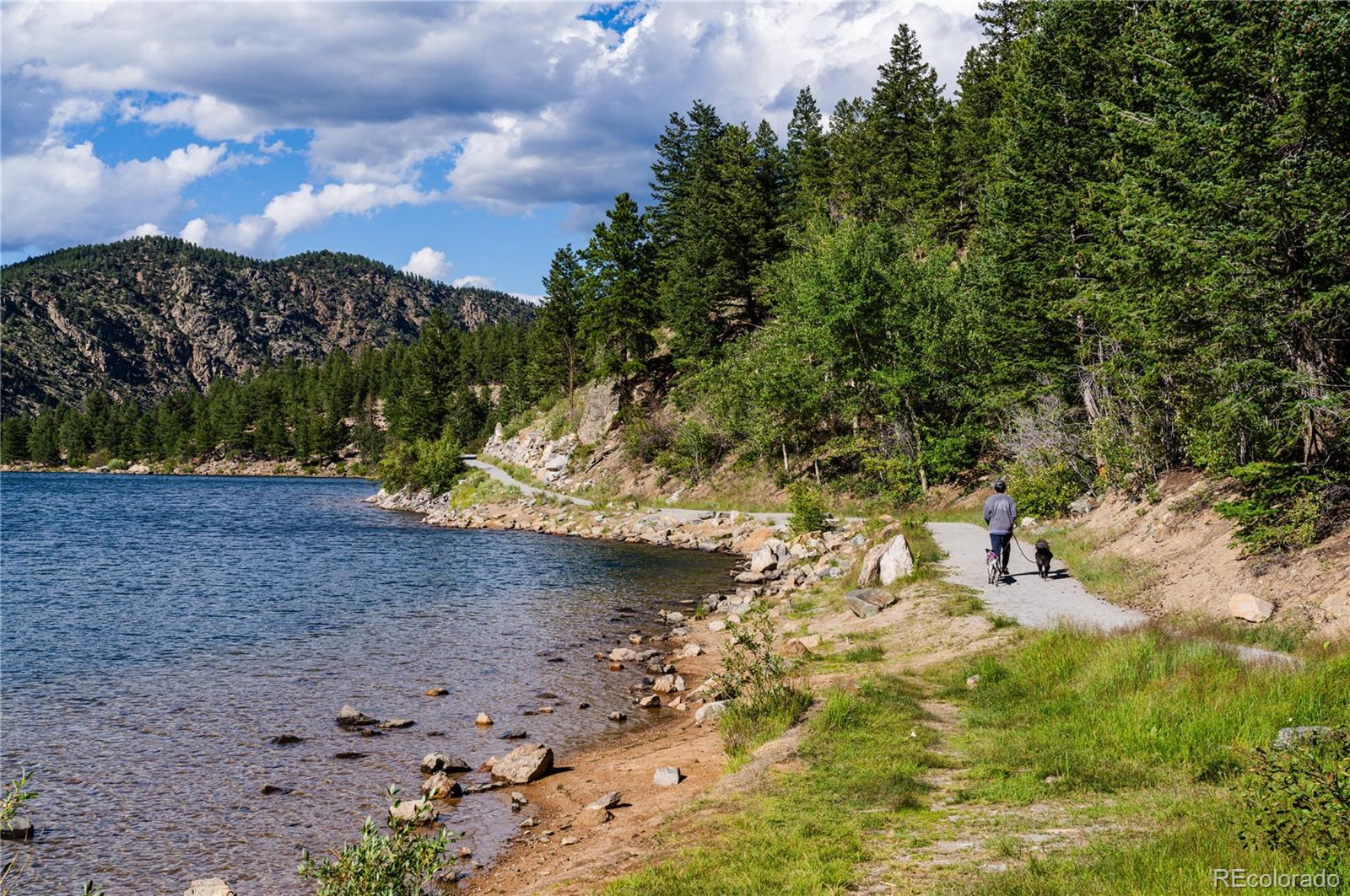 MLS Image #22 for 2115  hummingbird way 103,georgetown, Colorado