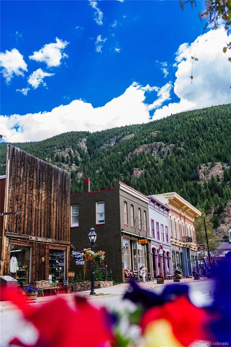 MLS Image #26 for 2115  hummingbird way 103,georgetown, Colorado