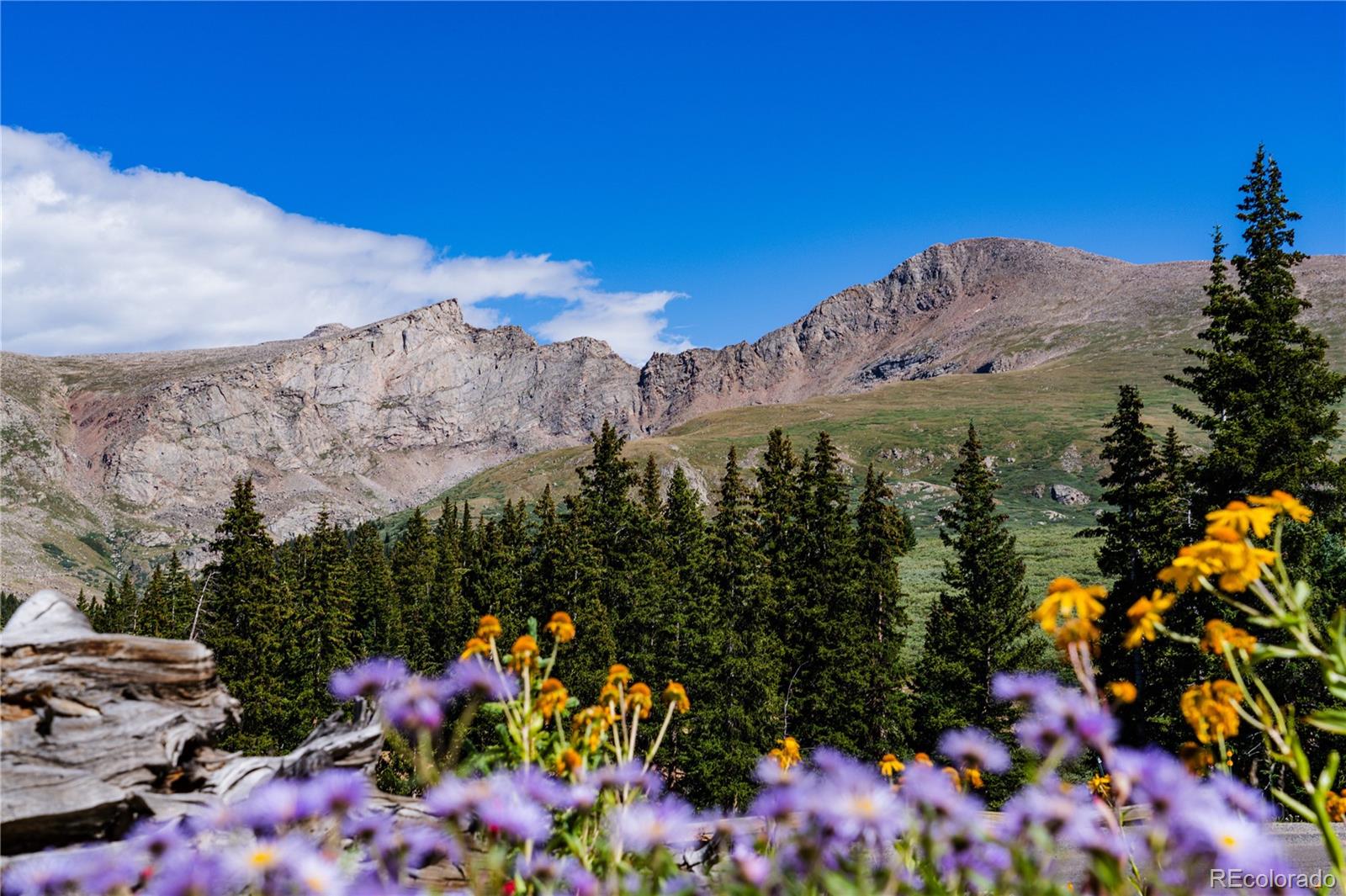 MLS Image #27 for 2115  hummingbird way 103,georgetown, Colorado
