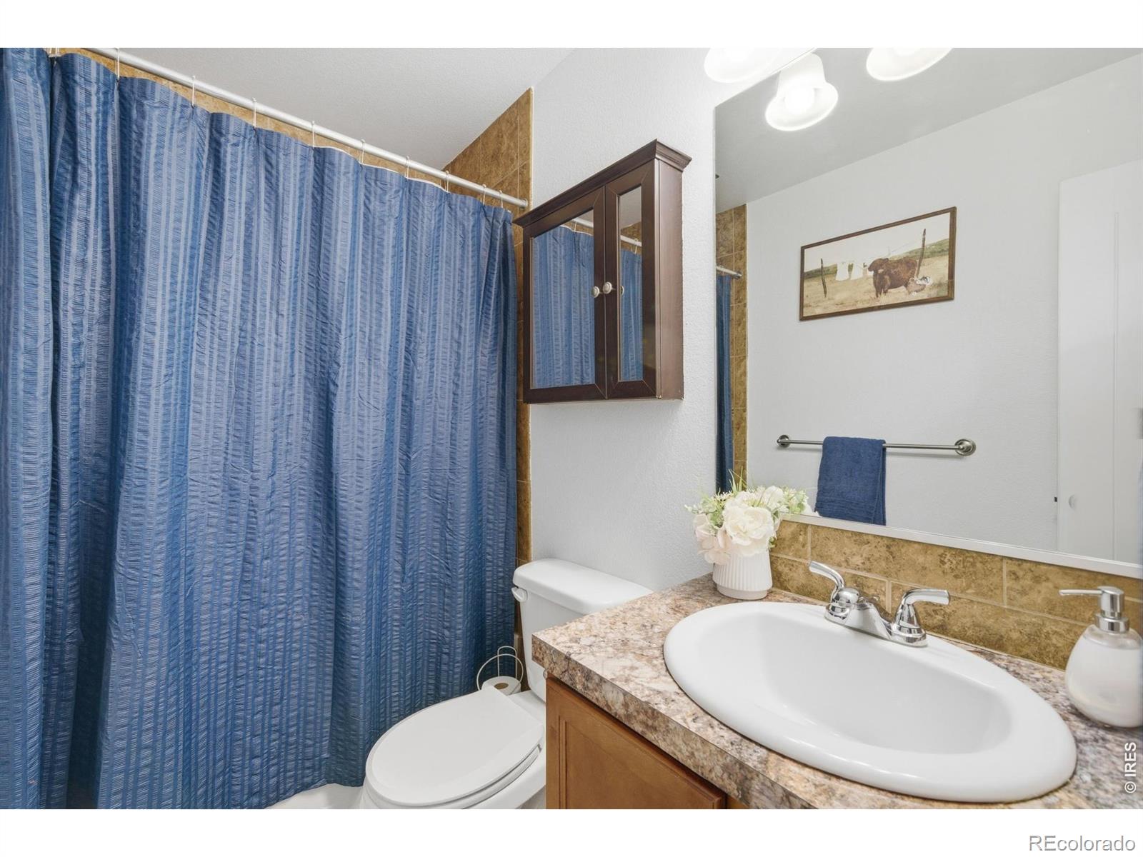 MLS Image #9 for 4817  everest place,greeley, Colorado