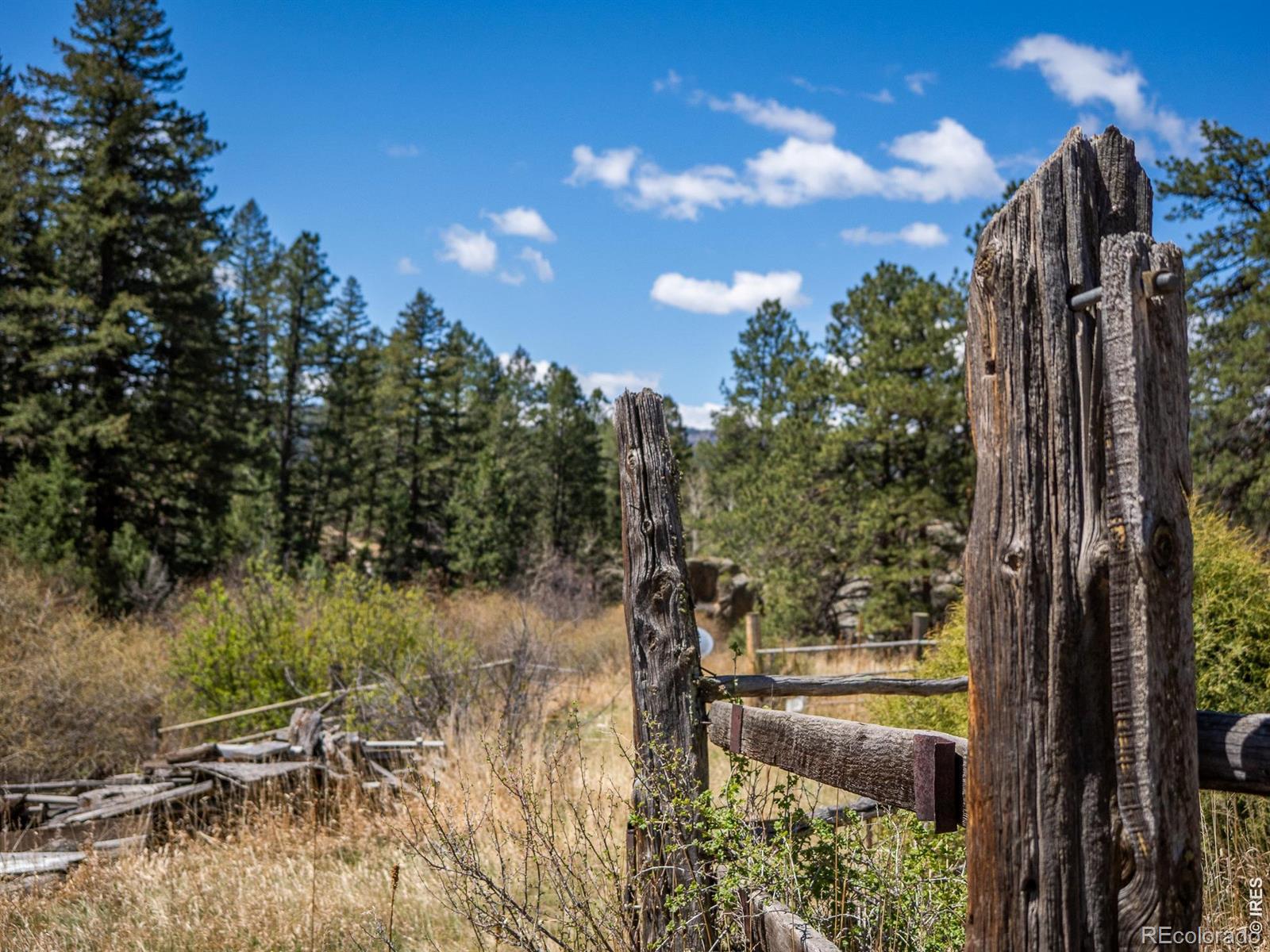 MLS Image #13 for 329  snow top drive,drake, Colorado