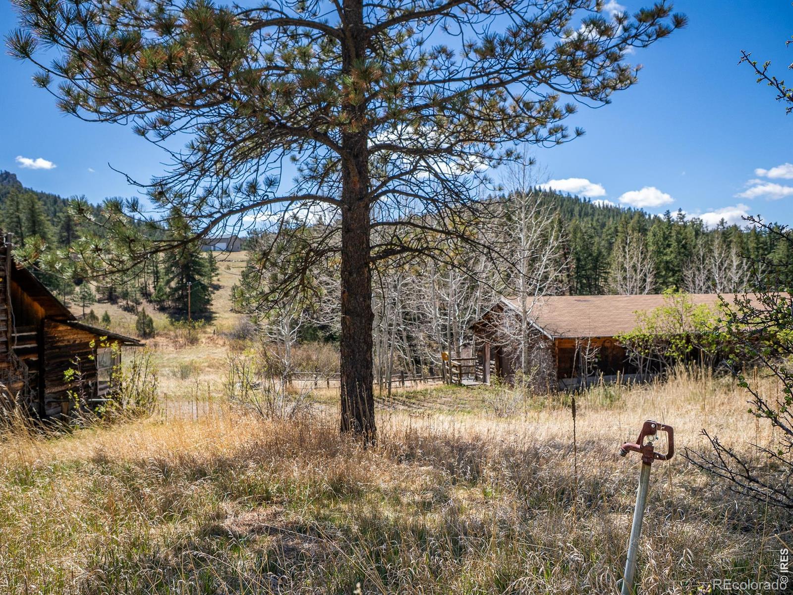 MLS Image #16 for 329  snow top drive,drake, Colorado