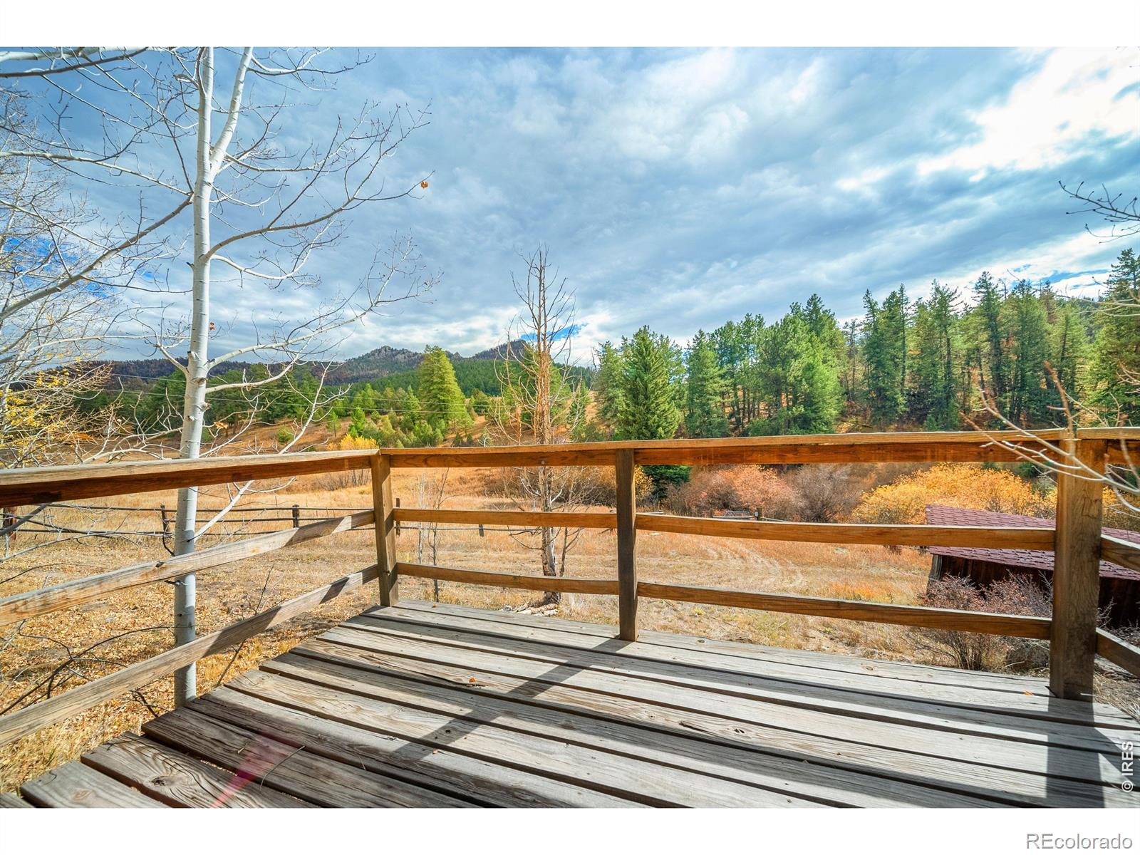 MLS Image #19 for 329  snow top drive,drake, Colorado