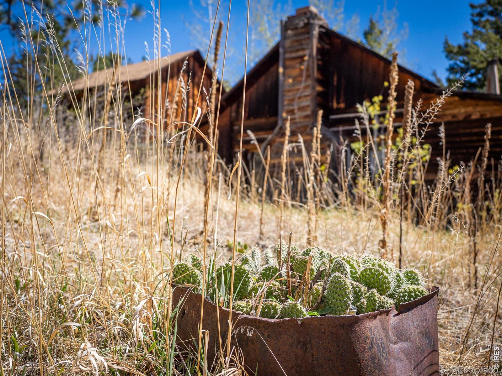 MLS Image #2 for 329  snow top drive,drake, Colorado