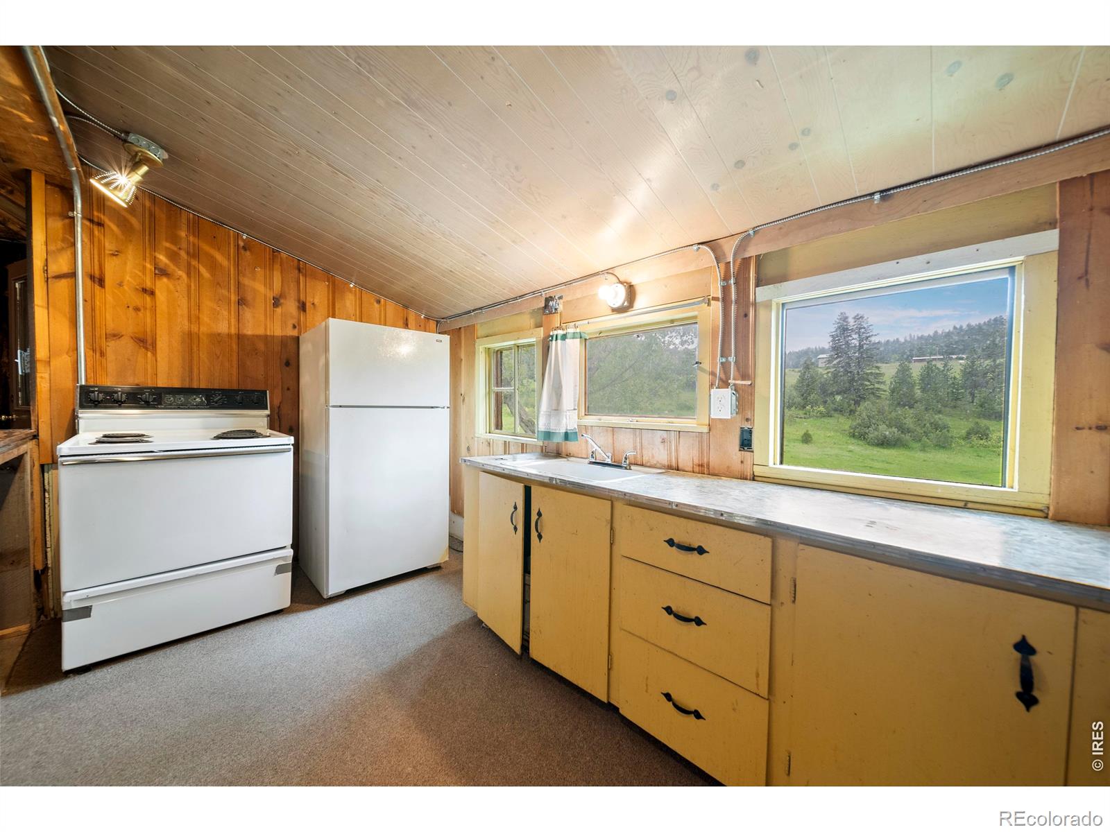 MLS Image #28 for 329  snow top drive,drake, Colorado