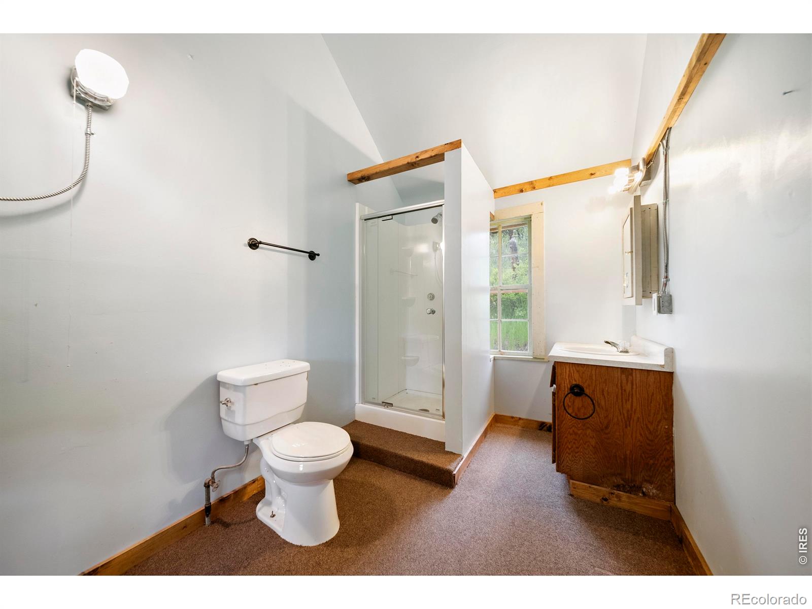 MLS Image #29 for 329  snow top drive,drake, Colorado