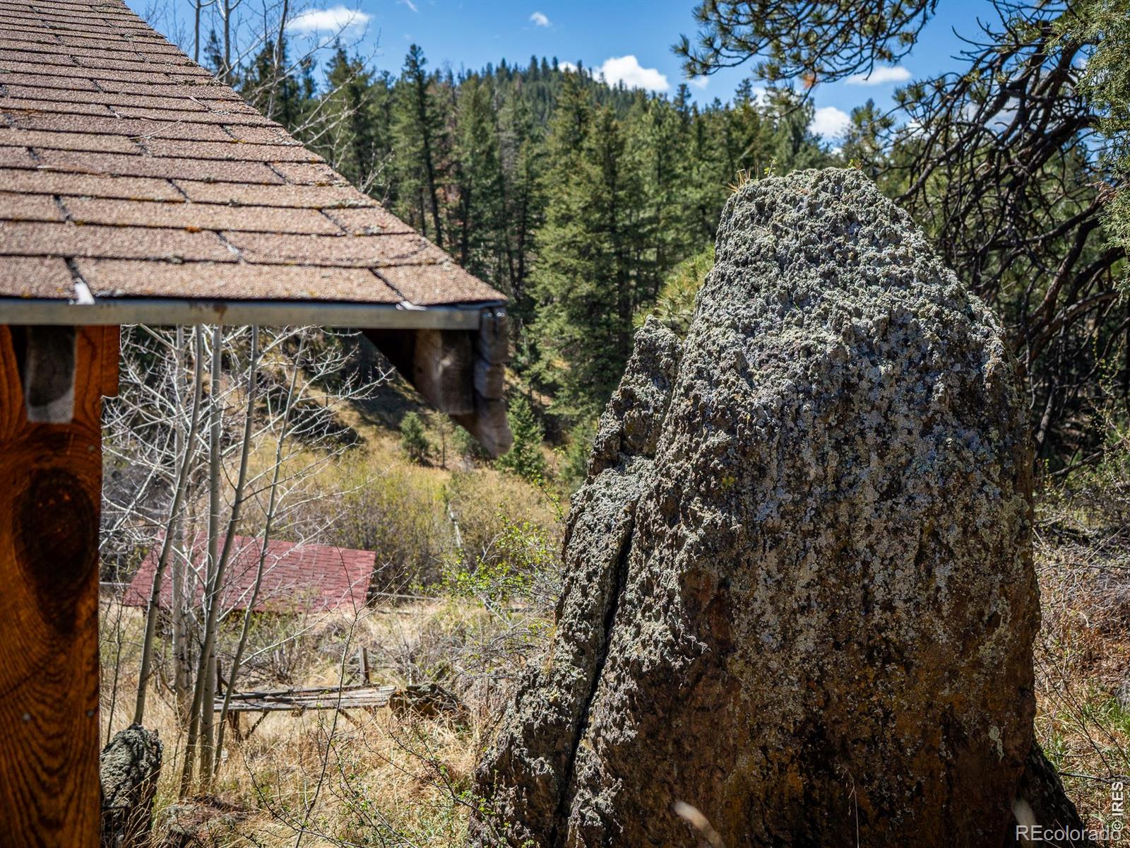 MLS Image #30 for 329  snow top drive,drake, Colorado