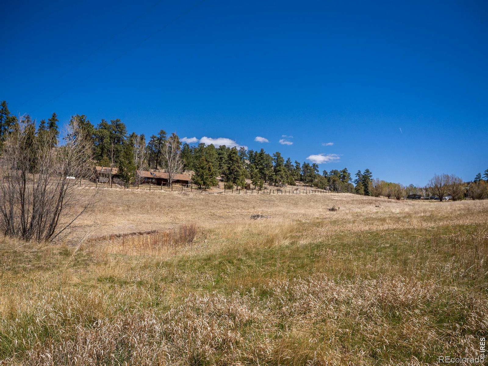 MLS Image #37 for 329  snow top drive,drake, Colorado