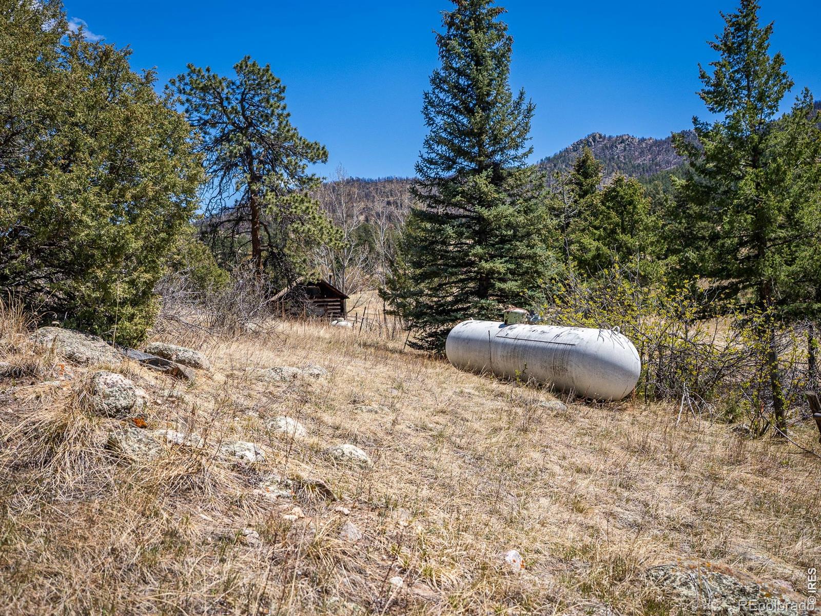 MLS Image #38 for 329  snow top drive,drake, Colorado