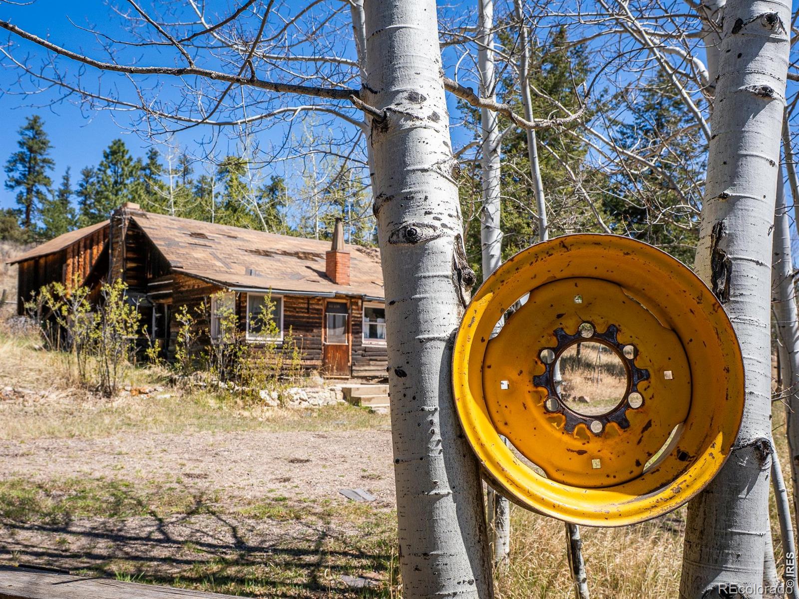 MLS Image #4 for 329  snow top drive,drake, Colorado