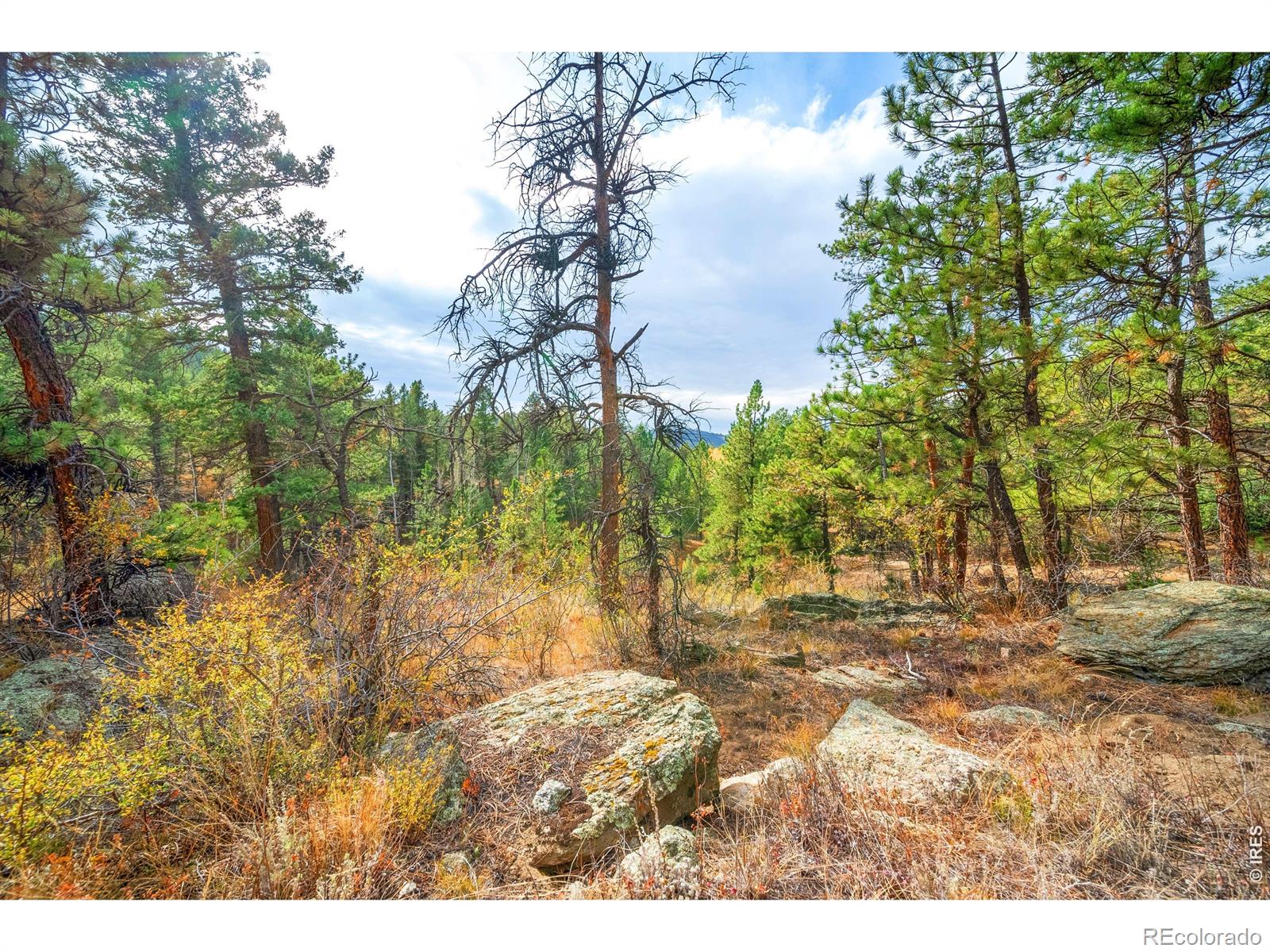 MLS Image #42 for 329  snow top drive,drake, Colorado