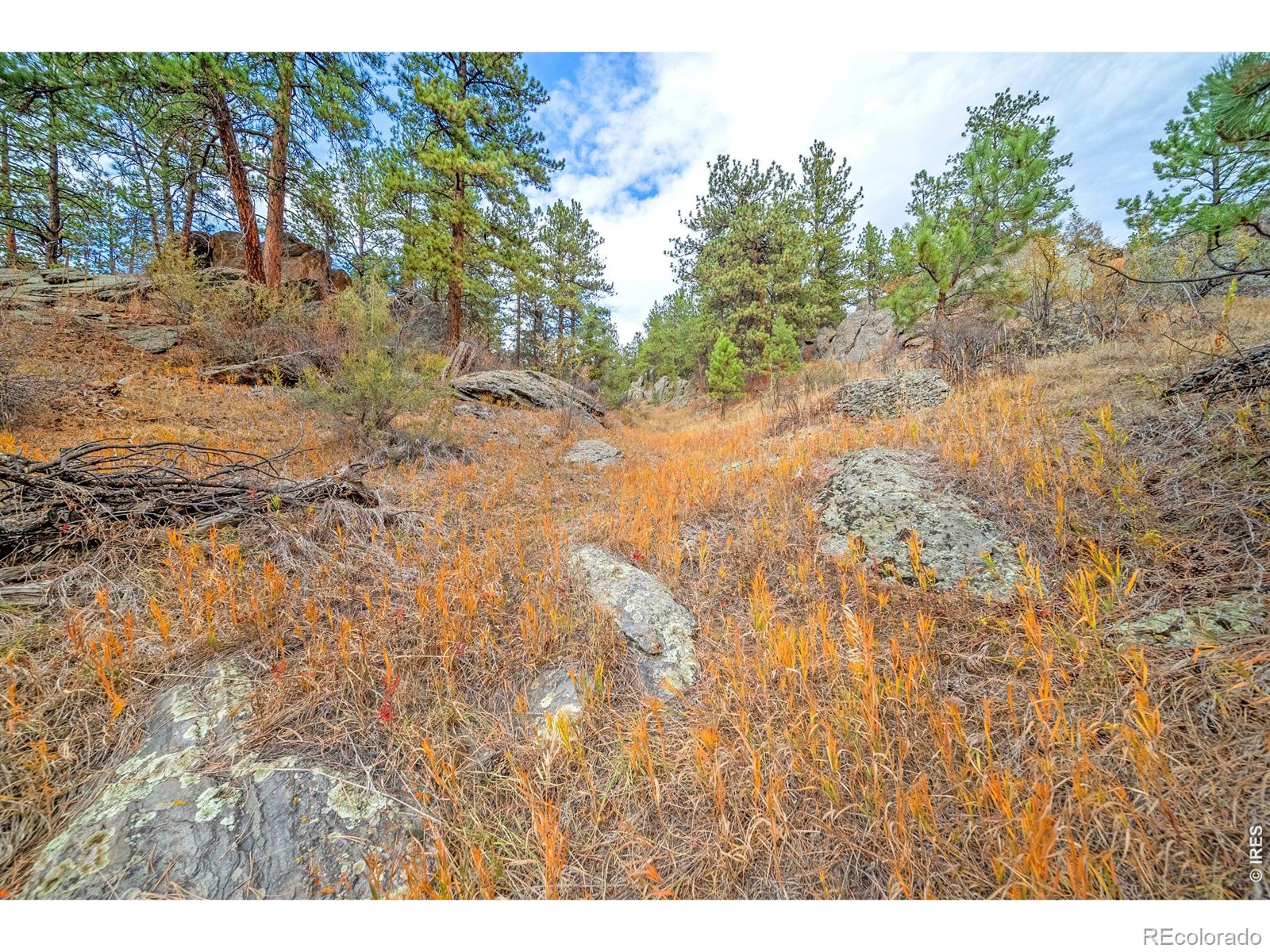 MLS Image #43 for 329  snow top drive,drake, Colorado