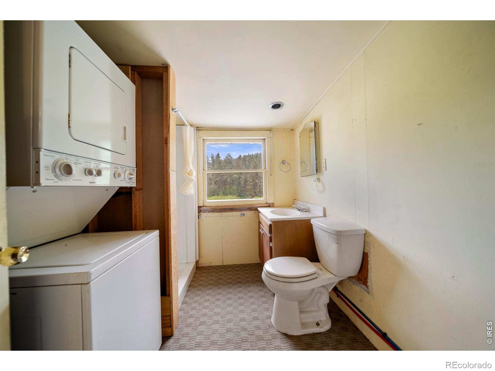 MLS Image #9 for 329  snow top drive,drake, Colorado