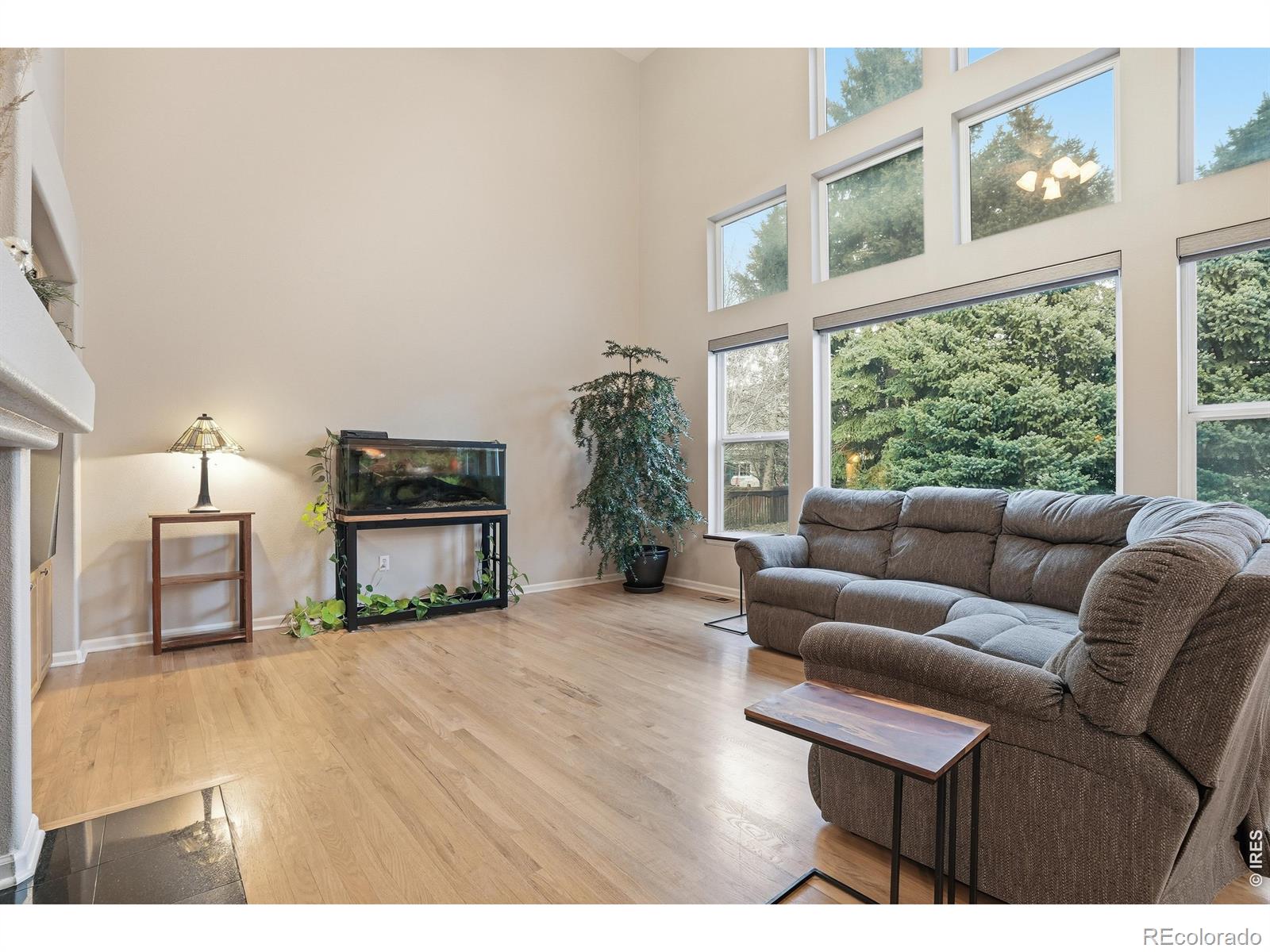 MLS Image #17 for 3908  grand canyon street,fort collins, Colorado