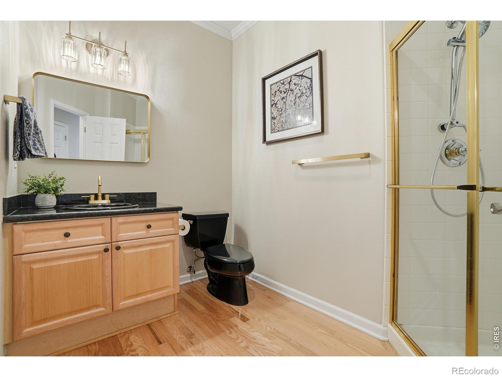 MLS Image #30 for 3908  grand canyon street,fort collins, Colorado