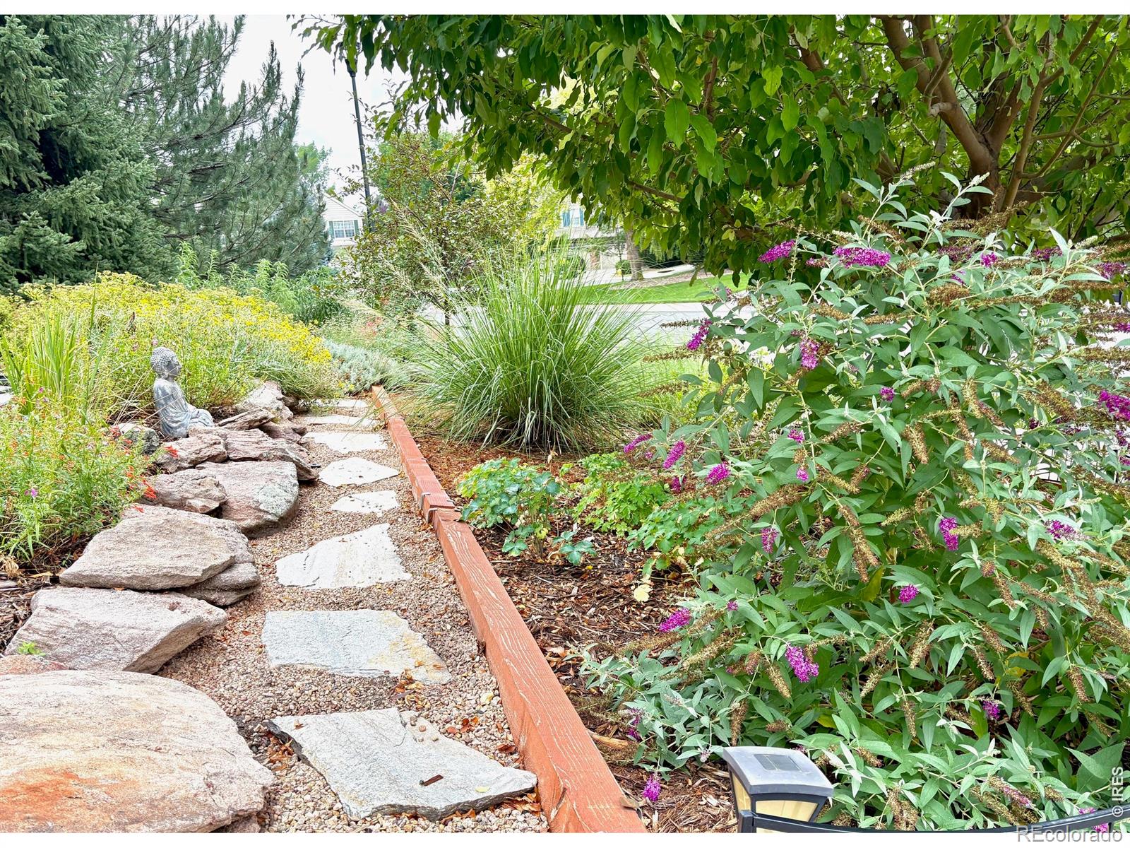 MLS Image #49 for 3908  grand canyon street,fort collins, Colorado