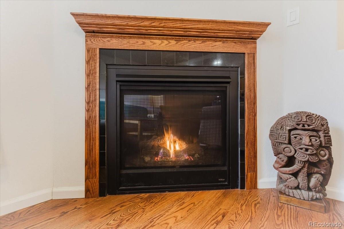 MLS Image #9 for 2771  dundee place,erie, Colorado