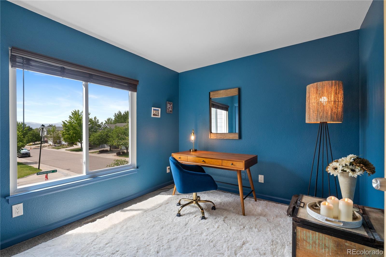 MLS Image #30 for 10204  aldenbridge court,highlands ranch, Colorado