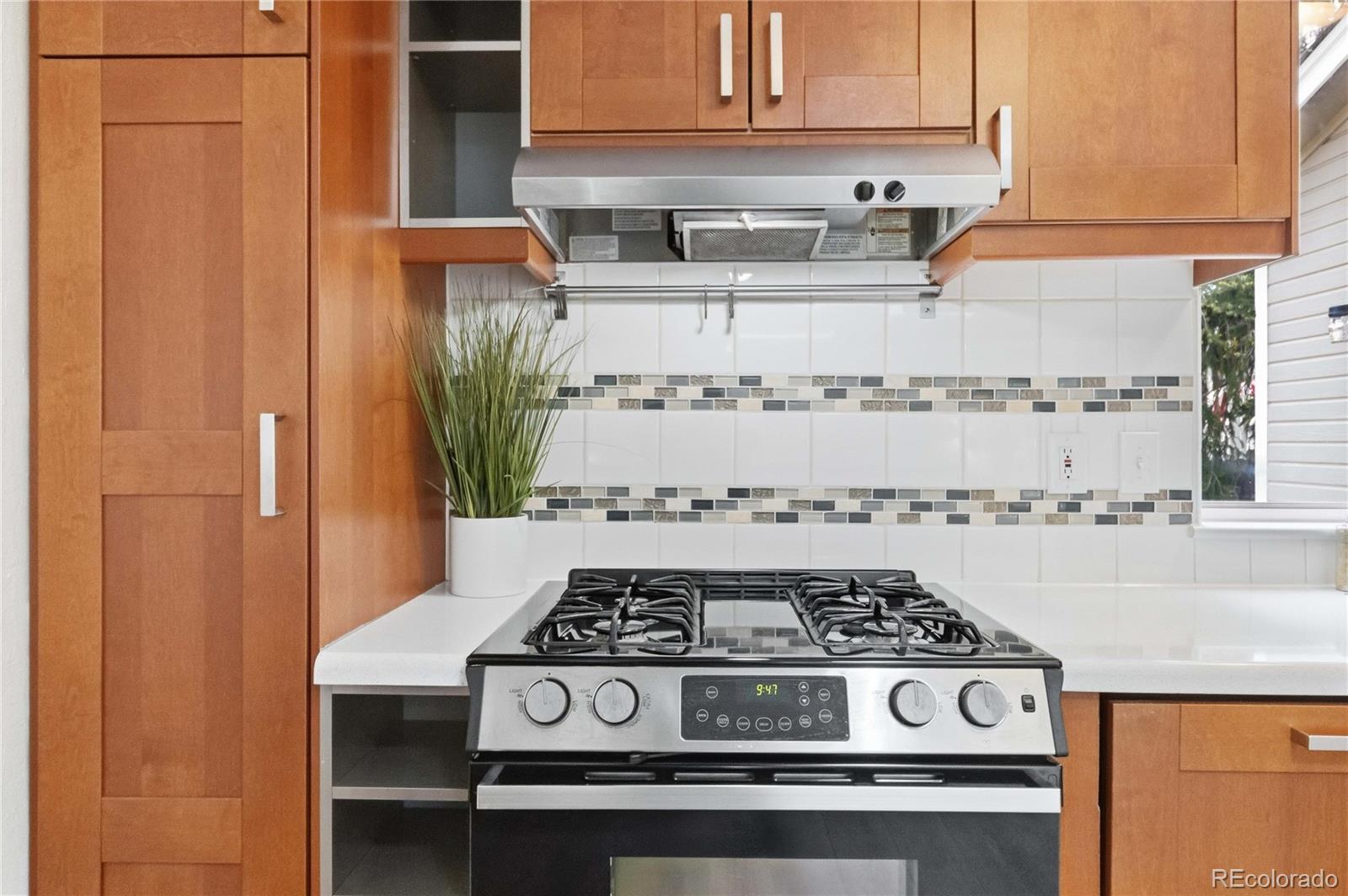 MLS Image #15 for 8389  curlycup place,parker, Colorado