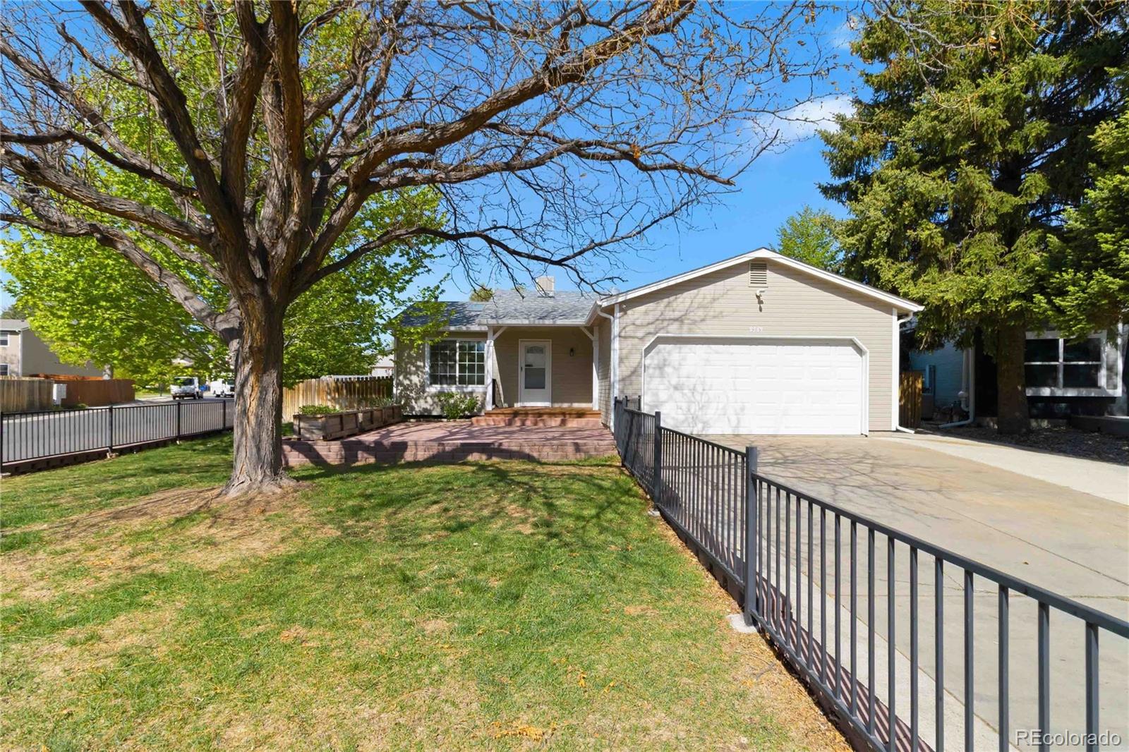 MLS Image #2 for 8389  curlycup place,parker, Colorado