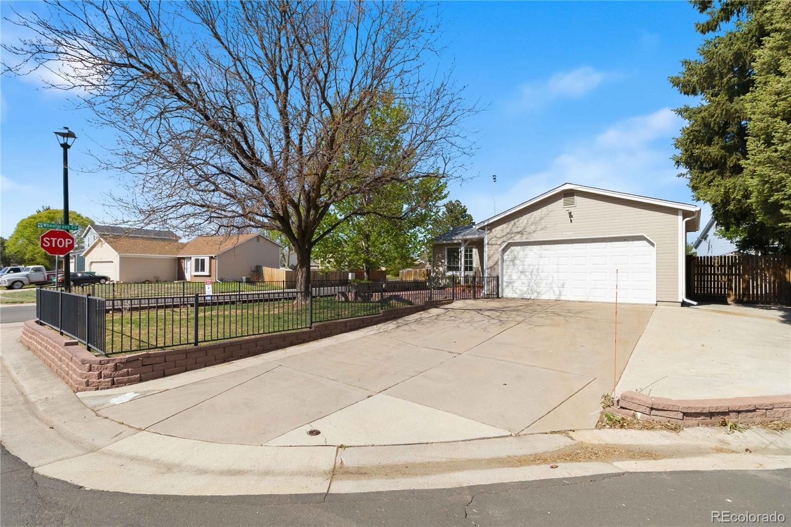 MLS Image #3 for 8389  curlycup place,parker, Colorado