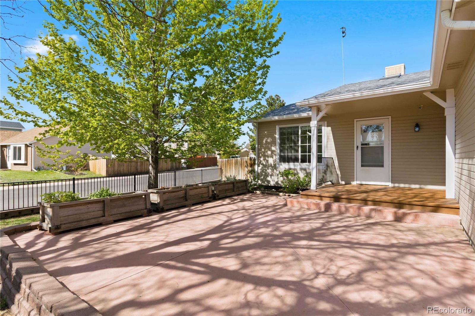 MLS Image #5 for 8389  curlycup place,parker, Colorado