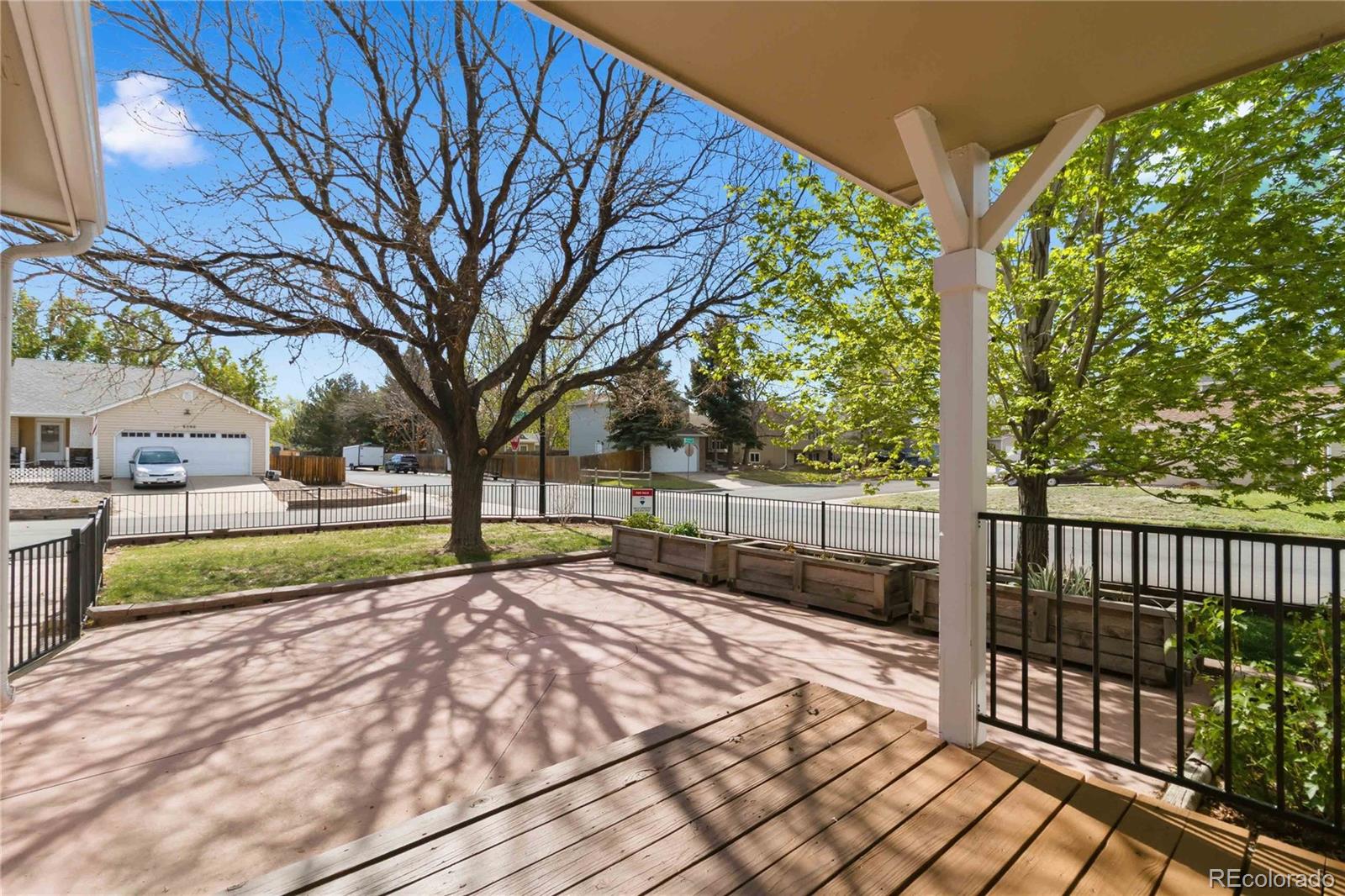 MLS Image #6 for 8389  curlycup place,parker, Colorado