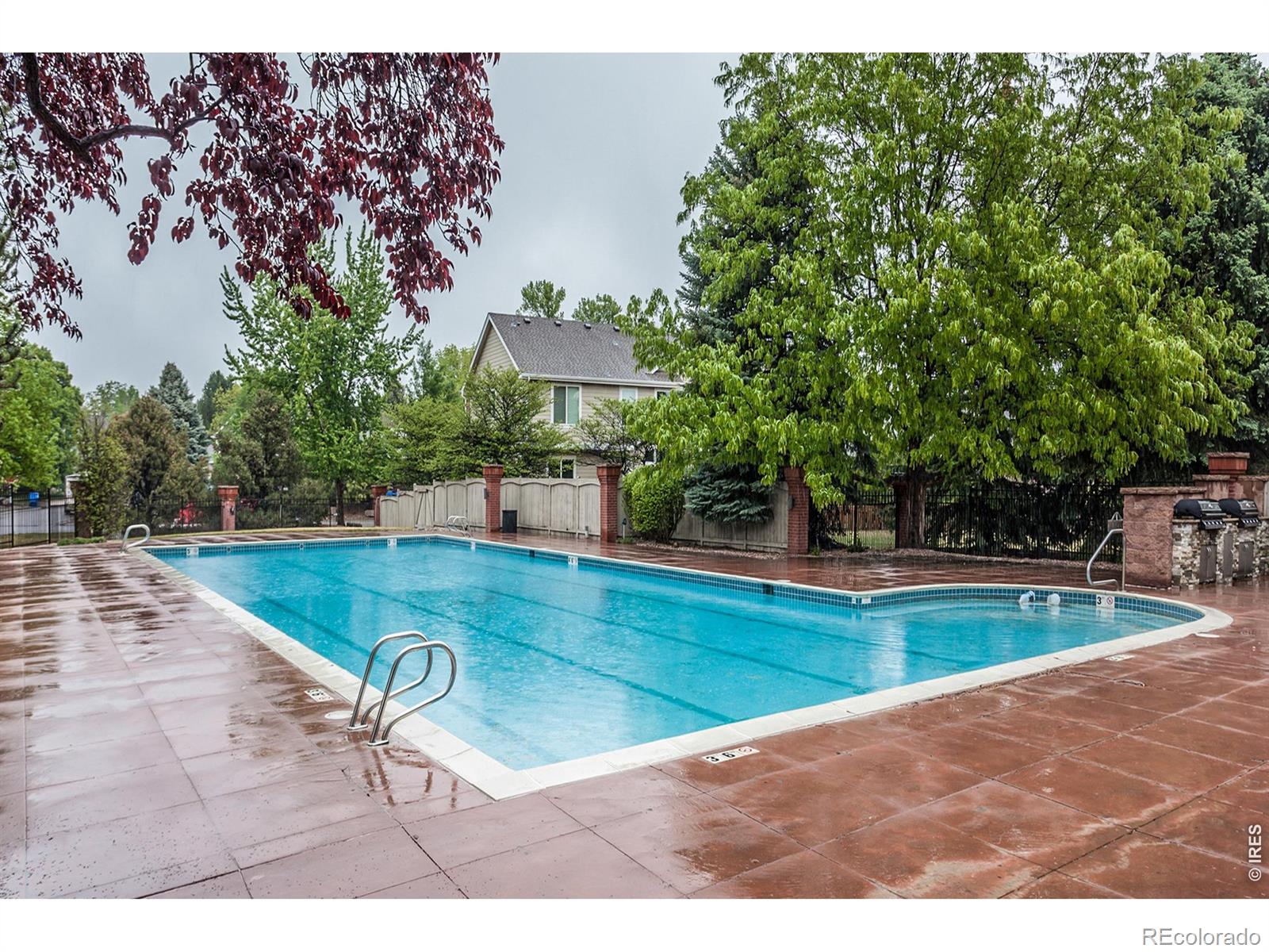 MLS Image #46 for 2619  jewelstone court,fort collins, Colorado