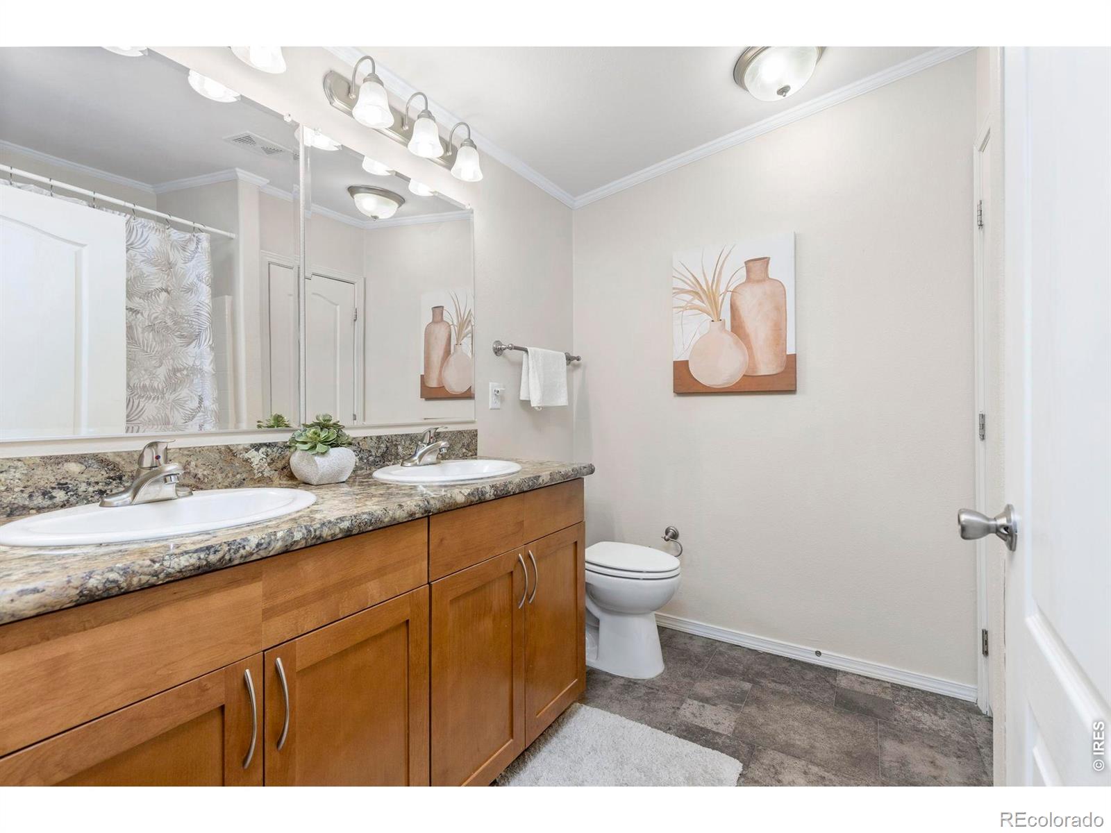 MLS Image #14 for 1221  raven place,loveland, Colorado