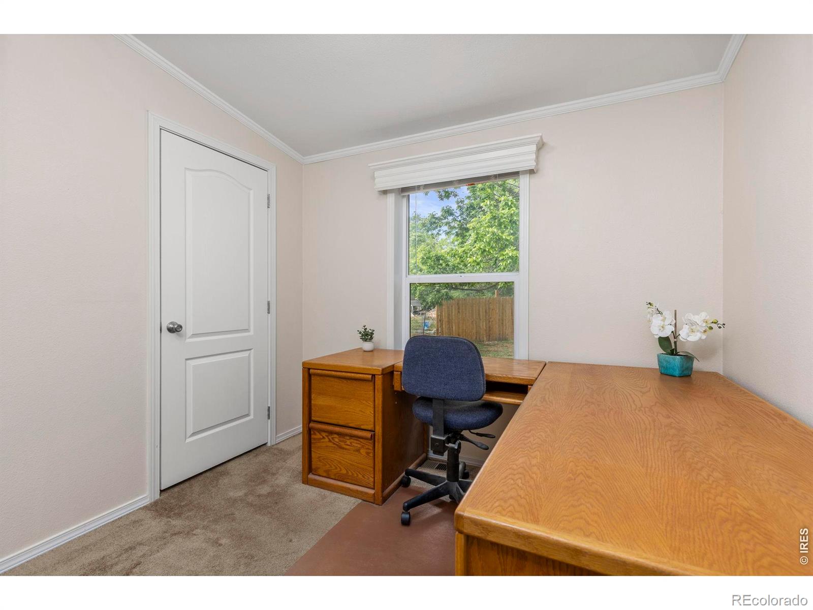 MLS Image #18 for 1221  raven place,loveland, Colorado