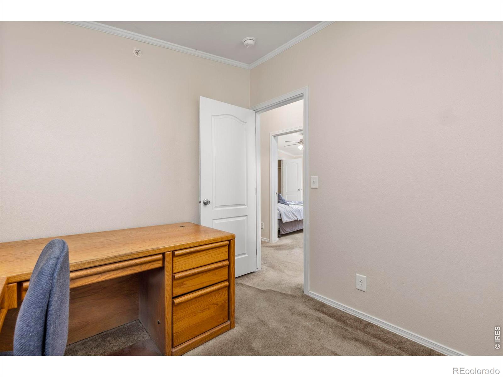 MLS Image #19 for 1221  raven place,loveland, Colorado