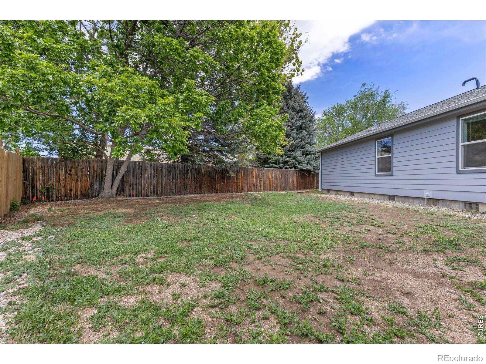 MLS Image #26 for 1221  raven place,loveland, Colorado