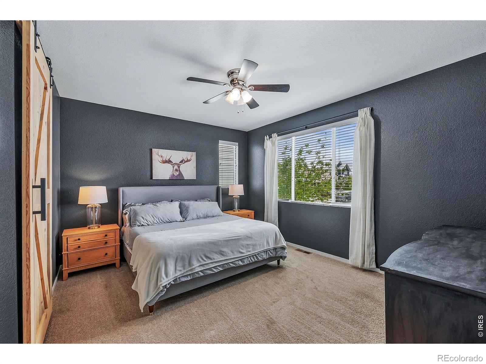 MLS Image #11 for 4697  crestone peak street,brighton, Colorado