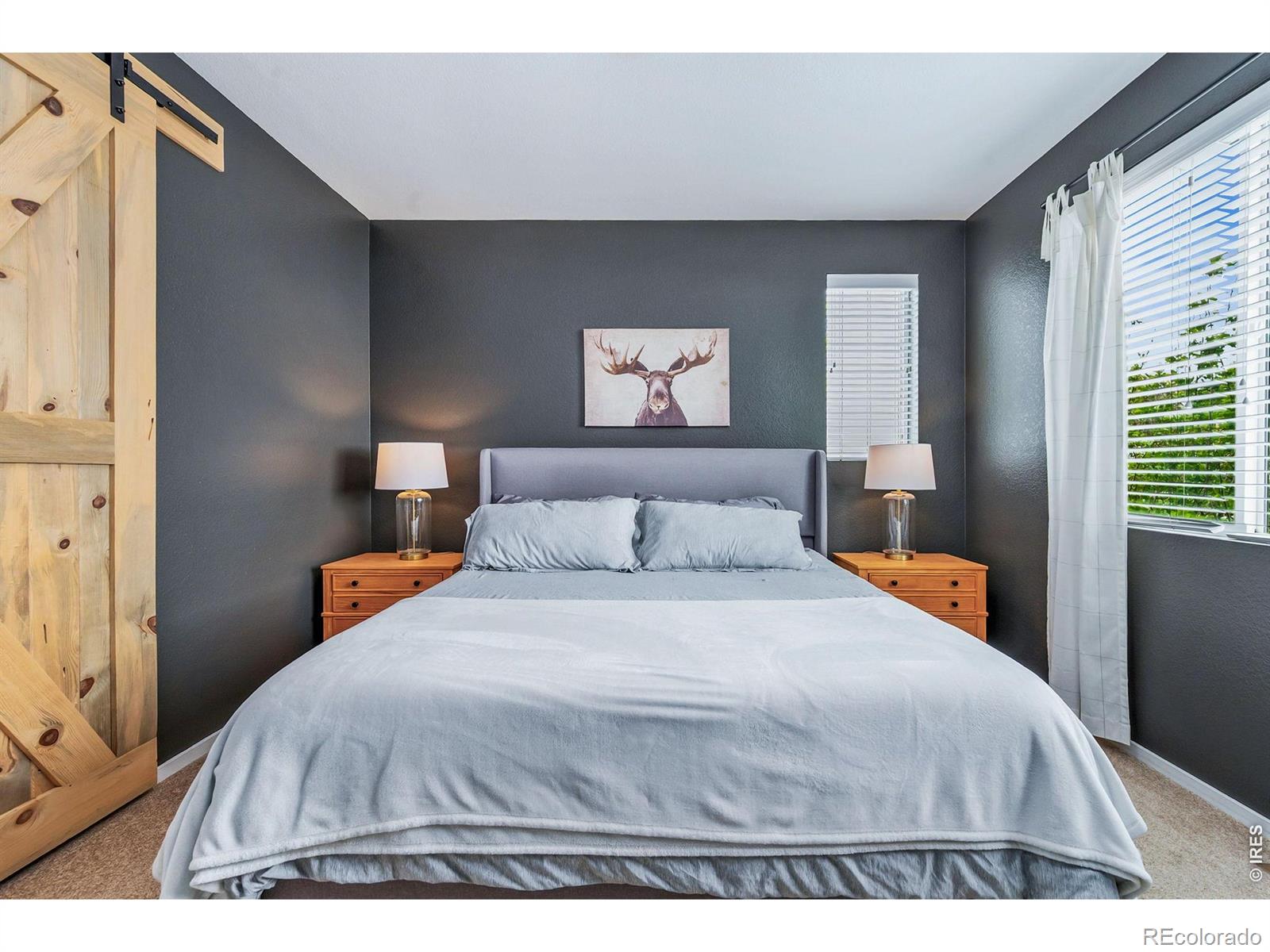 MLS Image #12 for 4697  crestone peak street,brighton, Colorado