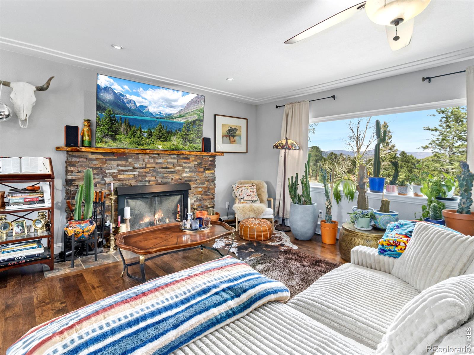 MLS Image #3 for 1451  cedar lane,estes park, Colorado