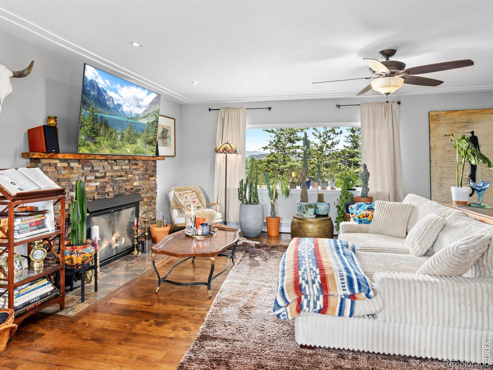 MLS Image #4 for 1451  cedar lane,estes park, Colorado