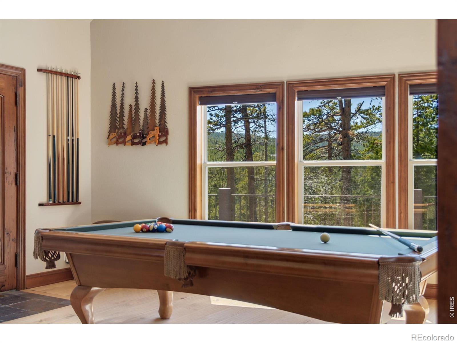 MLS Image #11 for 44  miwok court,red feather lakes, Colorado