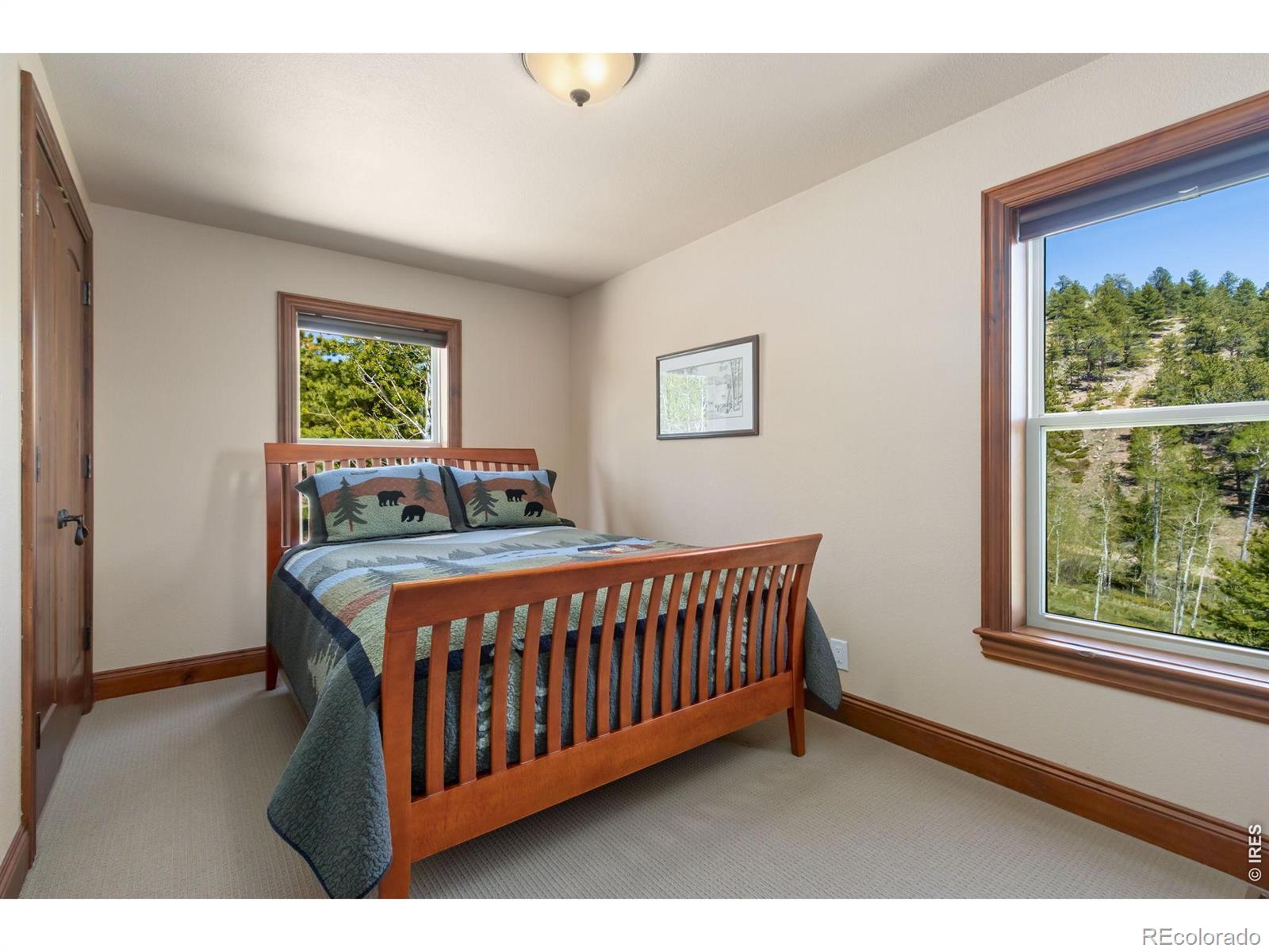 MLS Image #22 for 44  miwok court,red feather lakes, Colorado