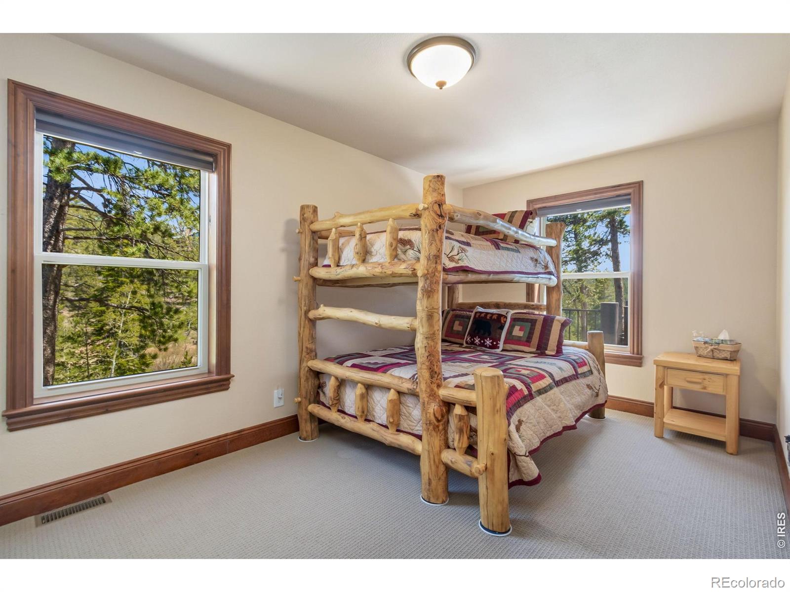 MLS Image #23 for 44  miwok court,red feather lakes, Colorado