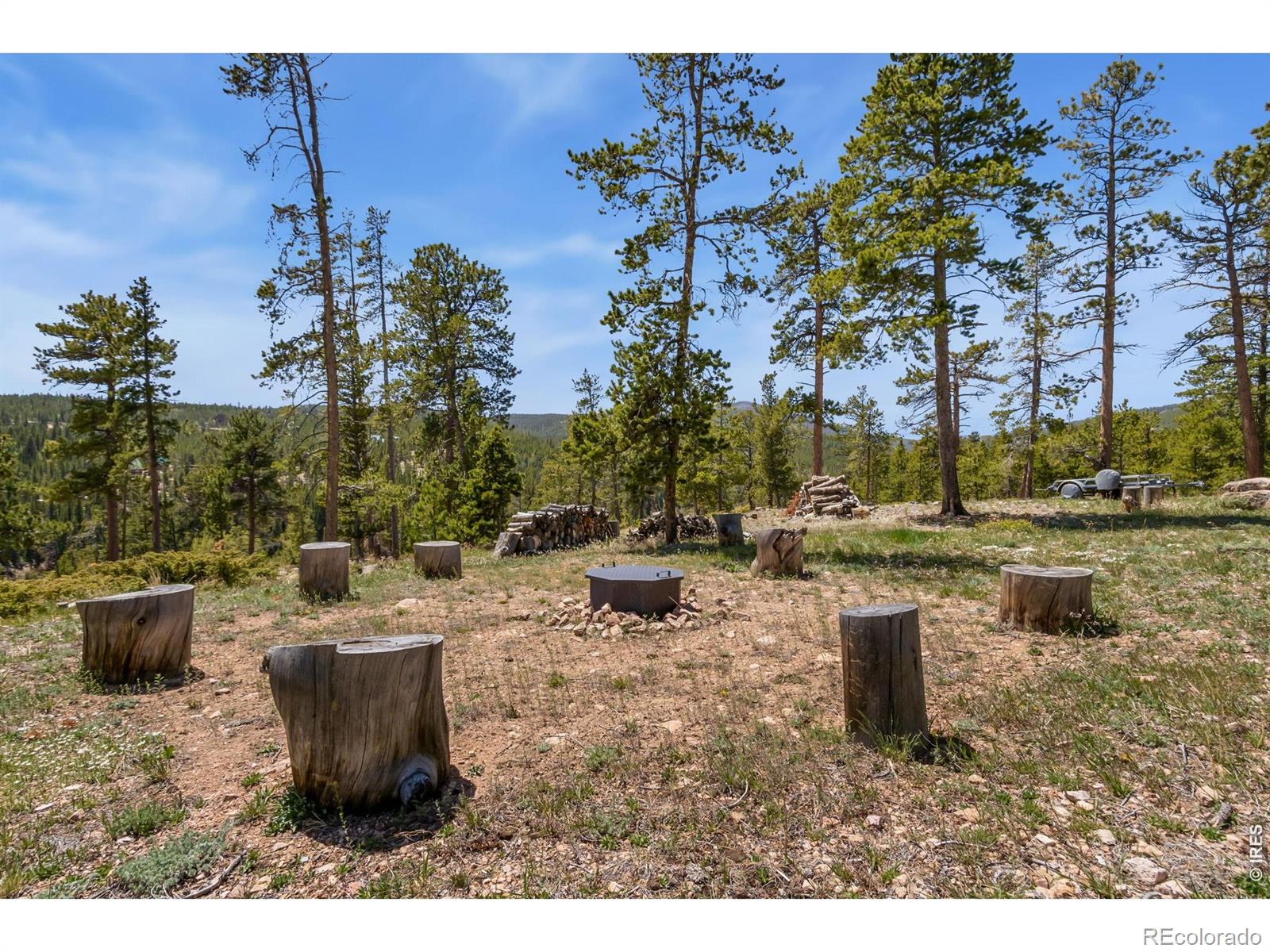 MLS Image #41 for 44  miwok court,red feather lakes, Colorado
