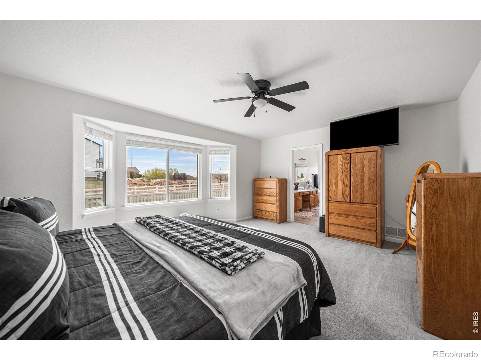 MLS Image #17 for 16645  tree haven street,hudson, Colorado