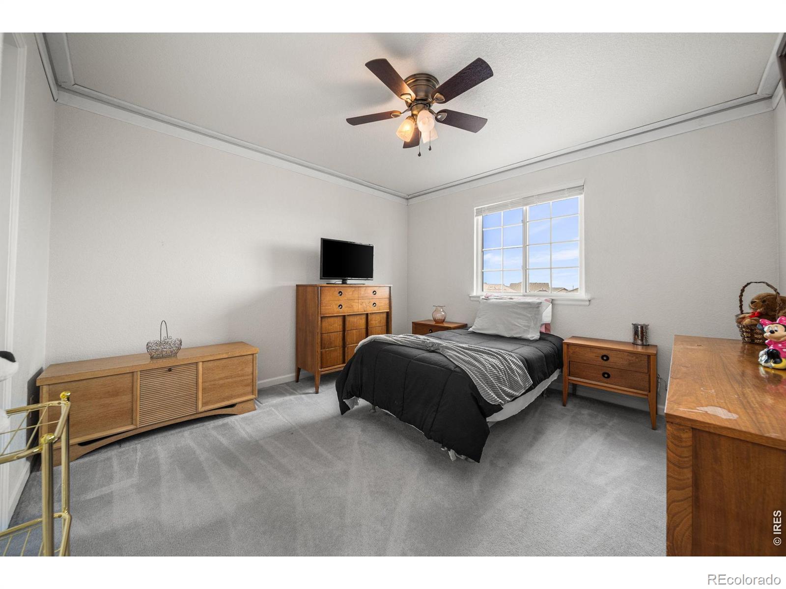 MLS Image #24 for 16645  tree haven street,hudson, Colorado