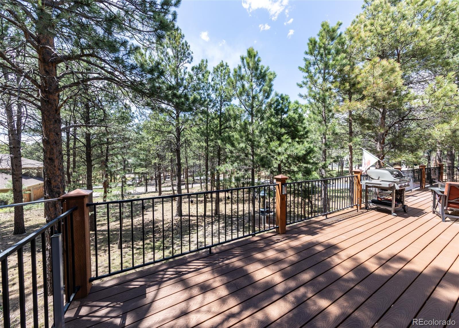 MLS Image #47 for 19670  blue clover lane,monument, Colorado