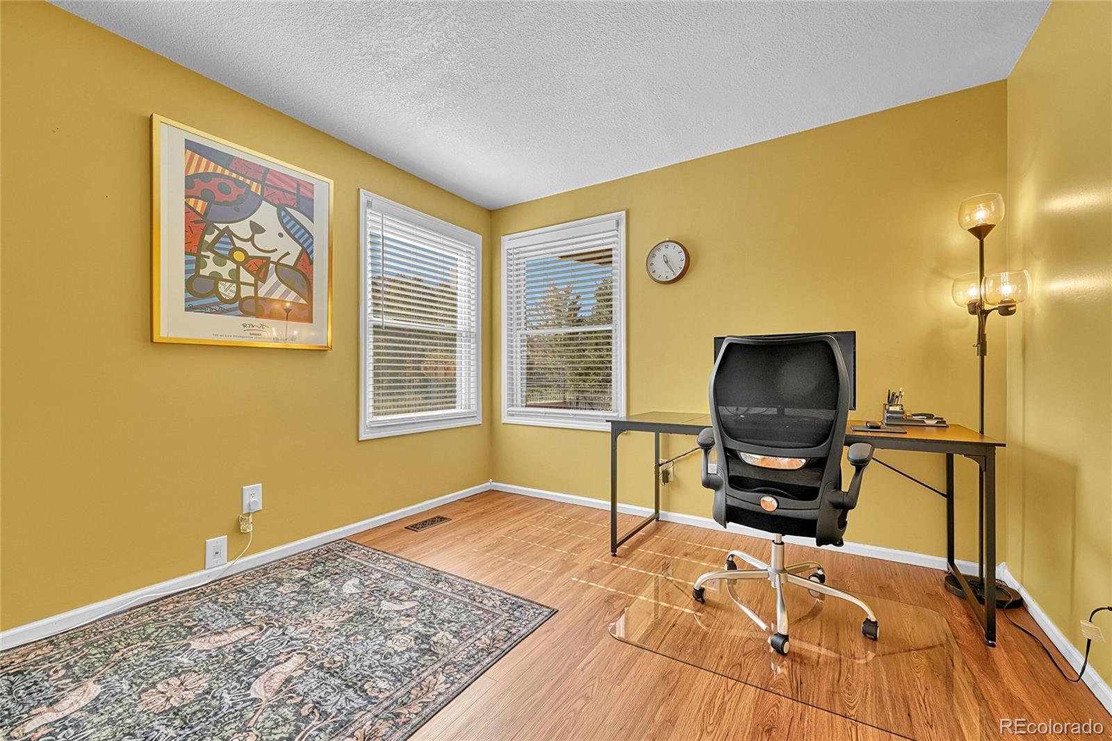 MLS Image #17 for 6722  eagle place,highlands ranch, Colorado